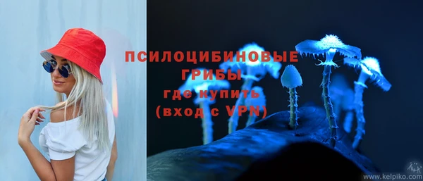 круглые Армянск