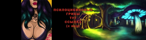 герыч Арсеньев
