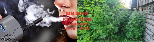 герыч Арсеньев